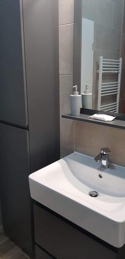 Апартаменты Apartament Modern Ioan Popasu Брашов Экстерьер фото